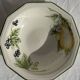 Set of 11 fruit-patterned bowls The Chartwell Collection England D17