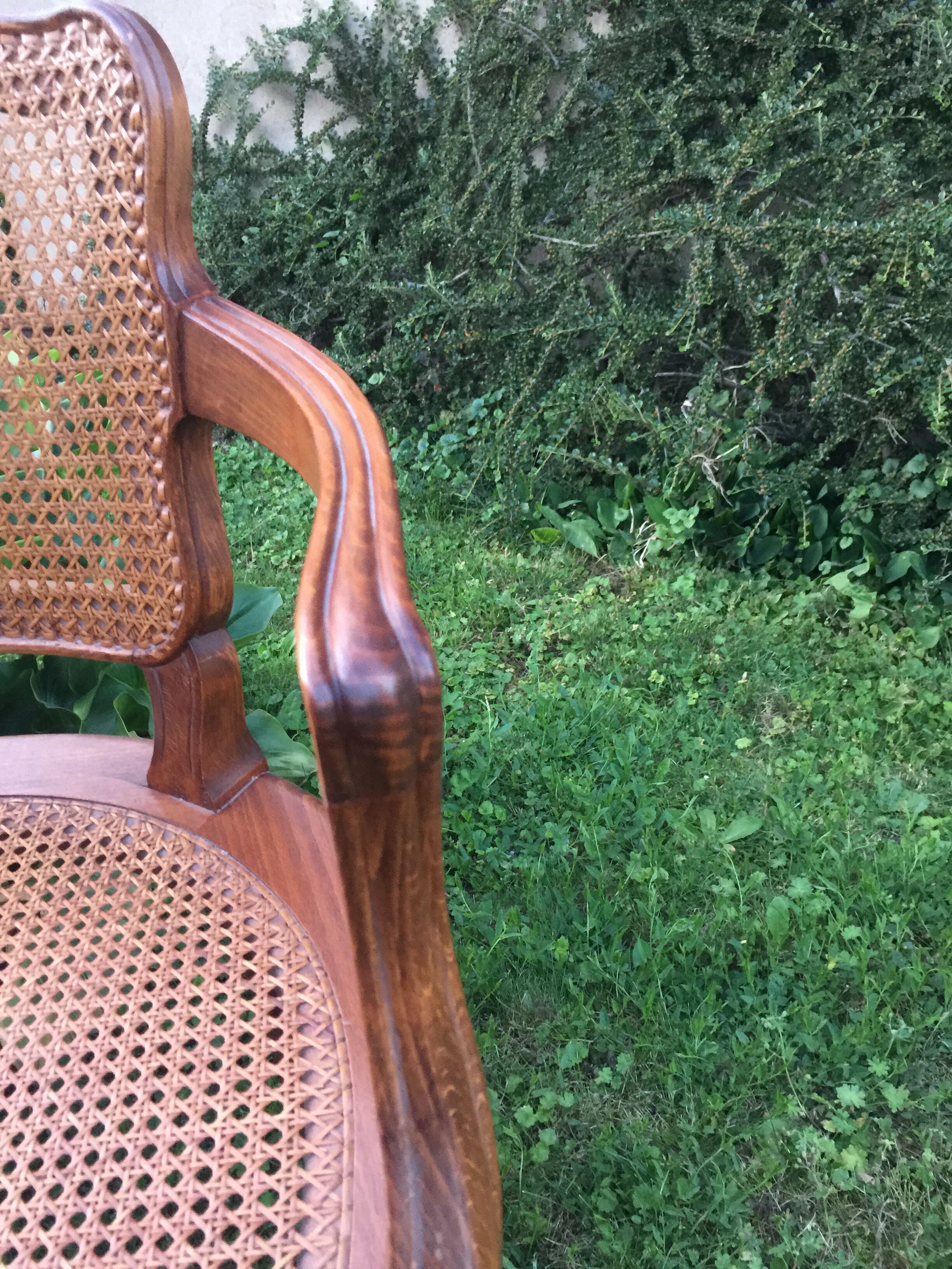 Canine Louis XV style office armchair