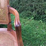 Canine Louis XV style office armchair