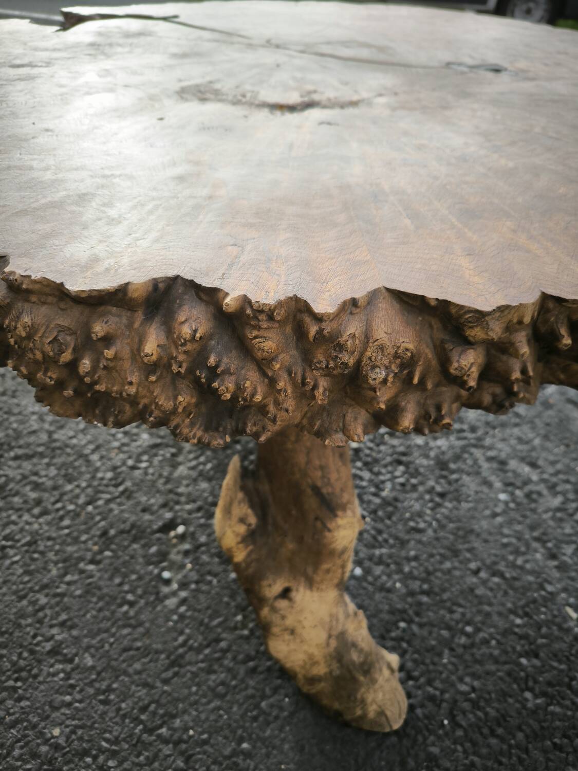 Brutalist coffee table in solid elm burl 108 cm diameter