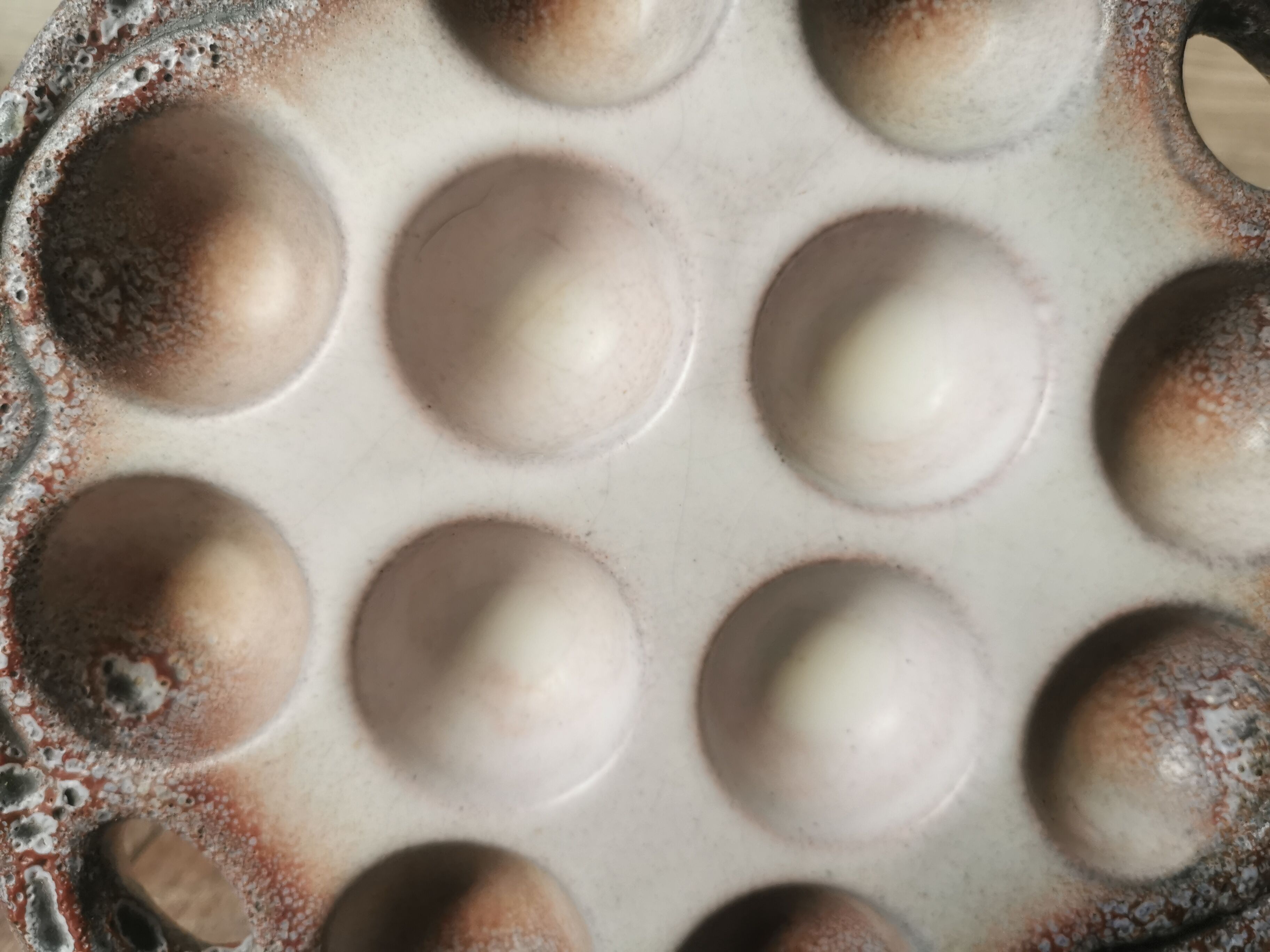 6 glazed ceramic snail plates