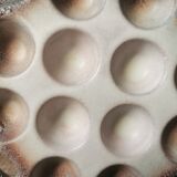 6 glazed ceramic snail plates