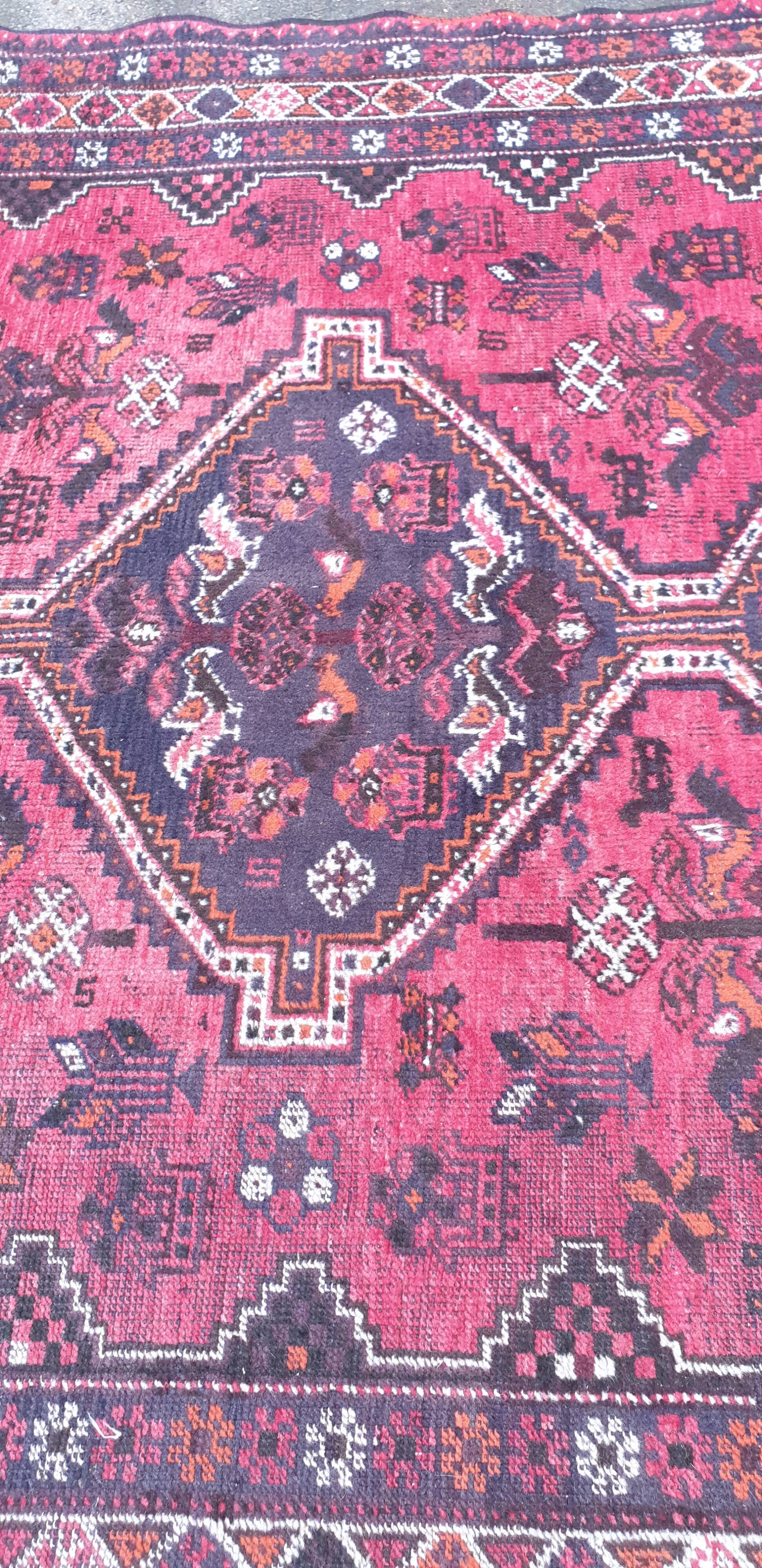 Oriental carpet wool