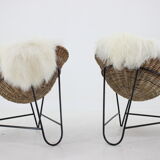 1960s Pair of Rattan Woven Basket Chair with Icelandic Sheepskin