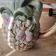 Slip pineapple pitcher