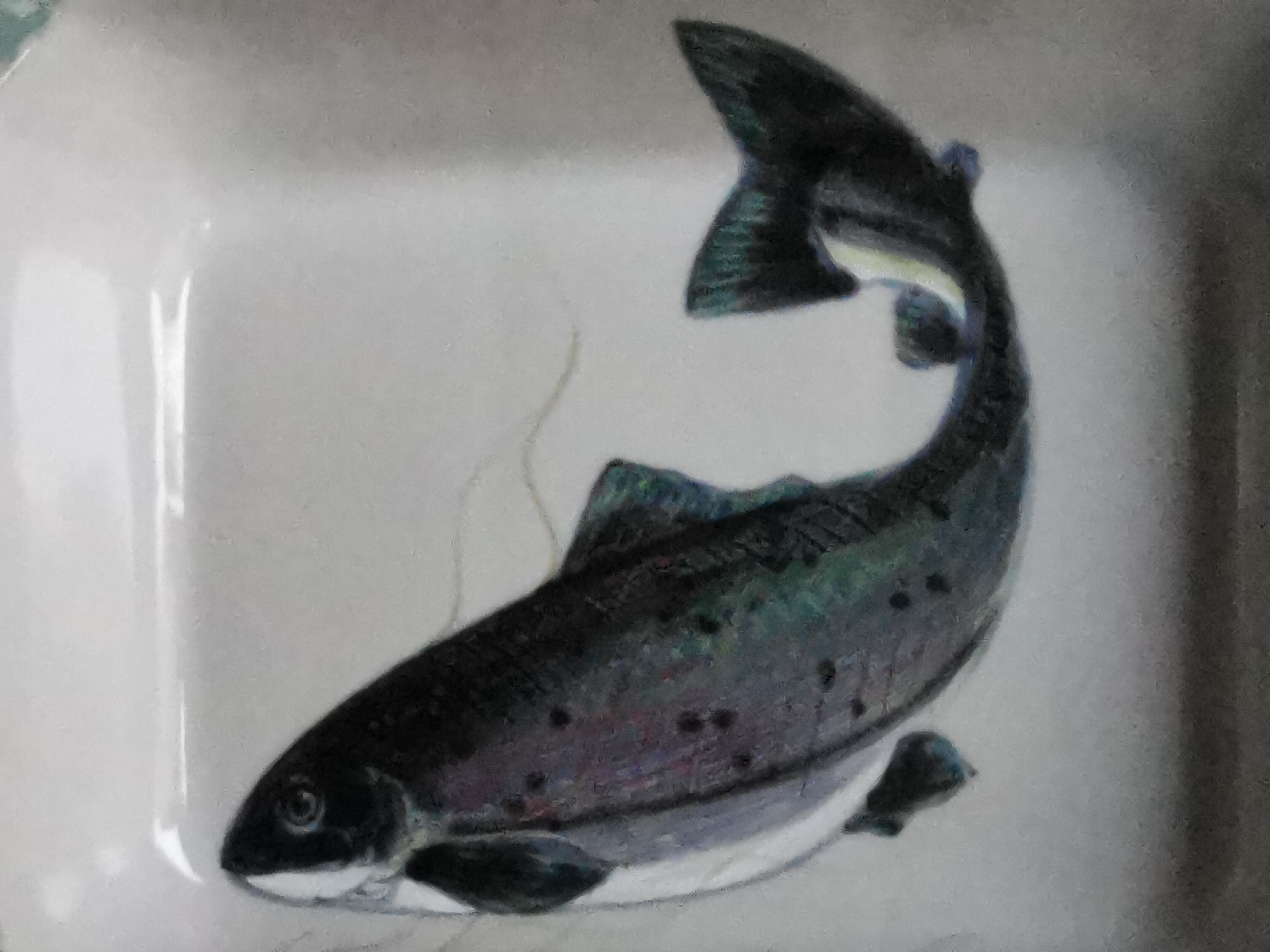 Fish decor decor dish