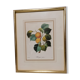 Lithograph fruit engraving