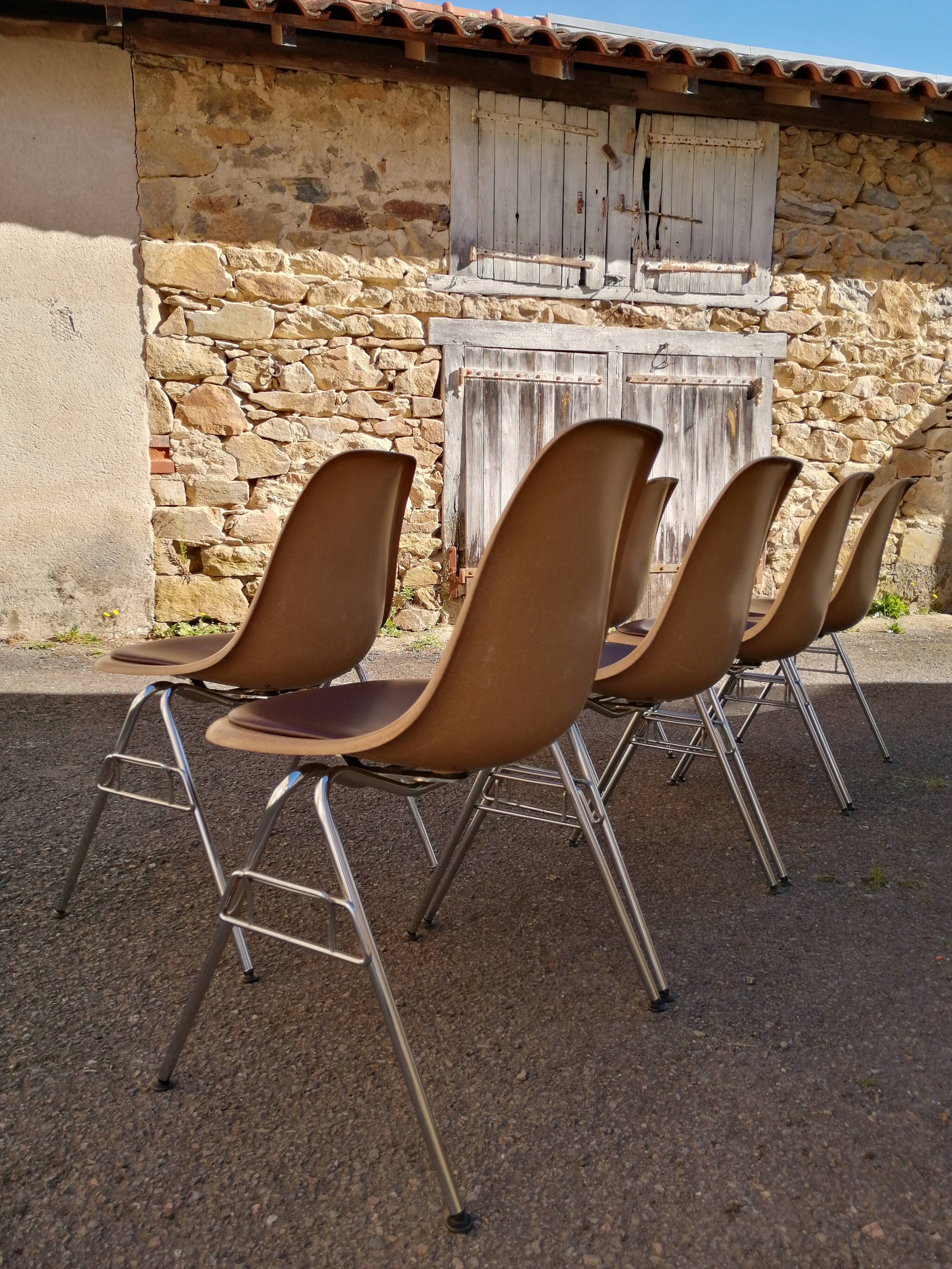 Lot de 6 chaises DSS Charles & Ray Eames pour Herman Miller Edition Vitra