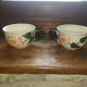 Villeroy & Boch cup duo "Wild rose"