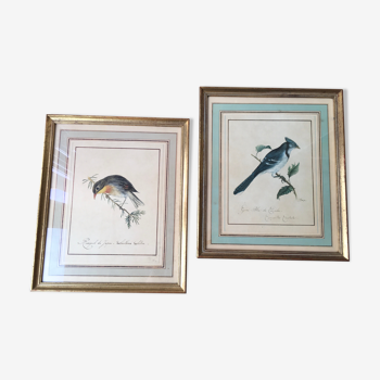 Paire de cadres, gravures anciennes oiseaux