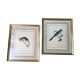 Paire de cadres, gravures anciennes oiseaux