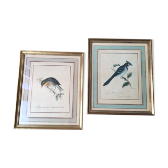 Pair of frames, engravings ancient birds