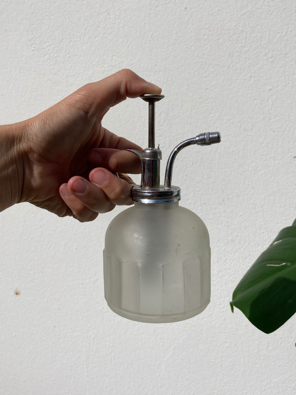 Plant sprayer opaque glass and metal