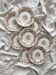 8 ironstone dessert plates “Epine” Boch Freres Keramis (BFK)