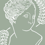 Draw "Venus" - Olive