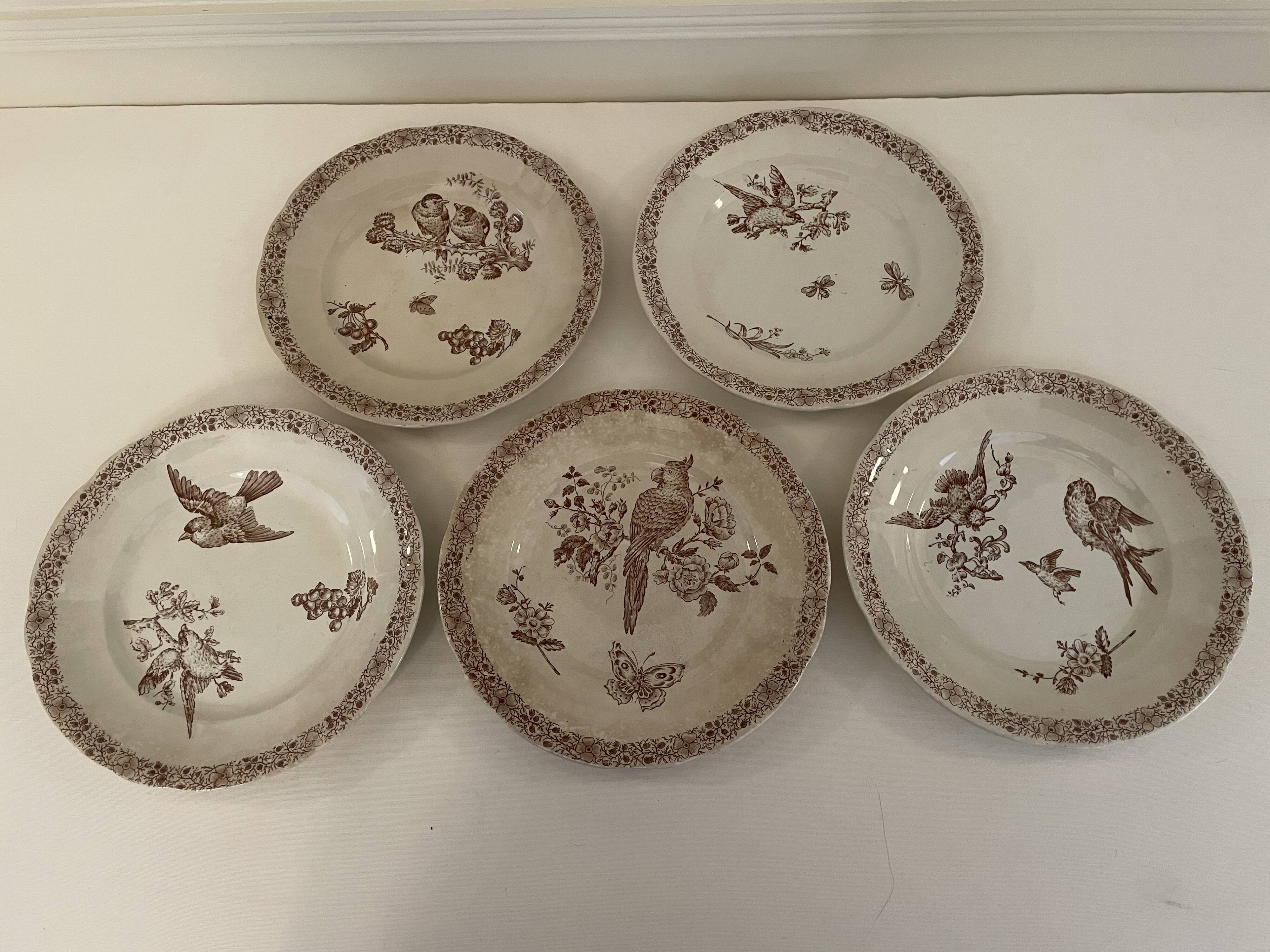 5 Assiettes faïence de Pexonne 19 ème siècle -Décor oiseaux insectes fleurs