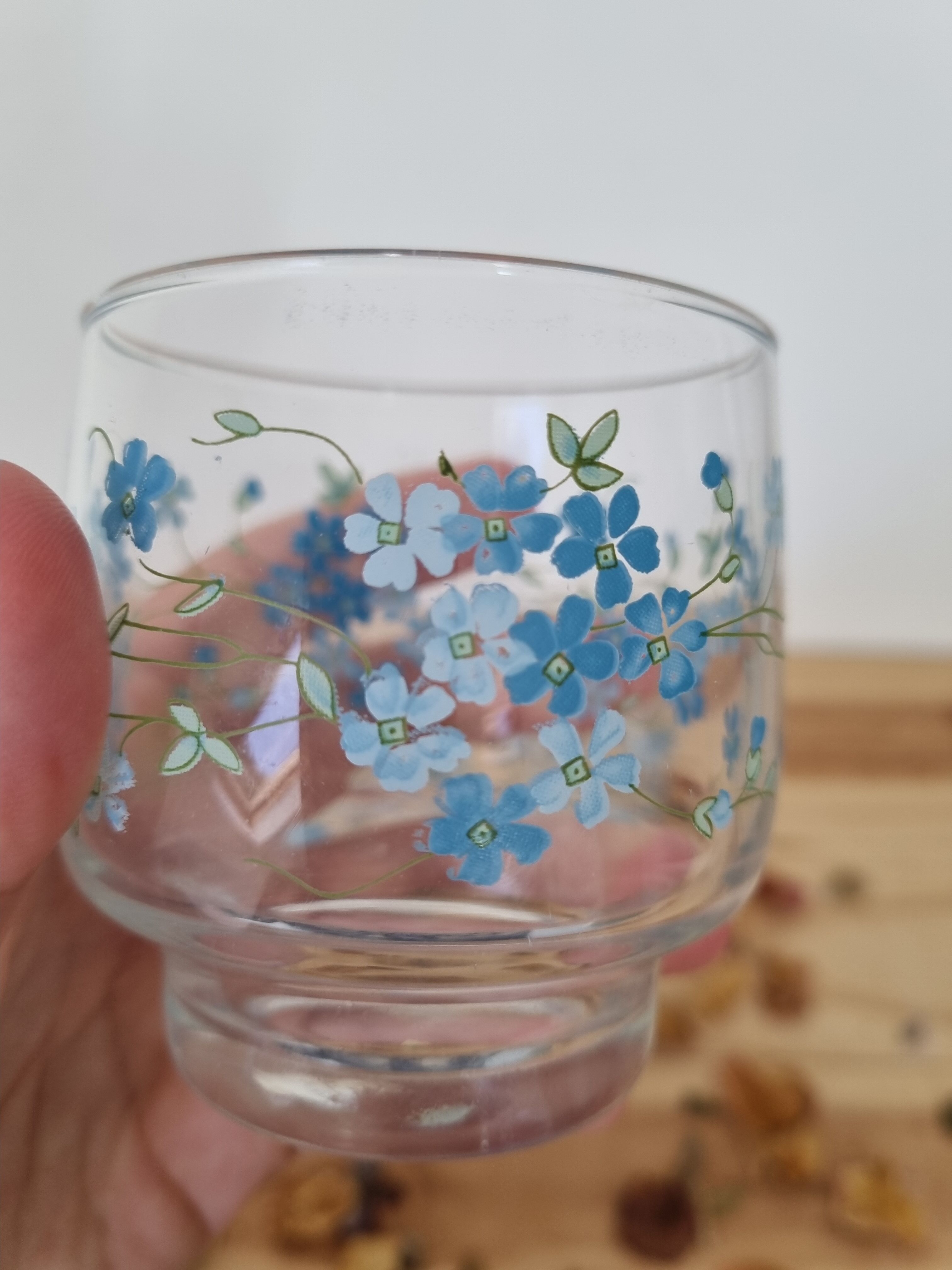 Vintage veronica arcopal myosotis glasses