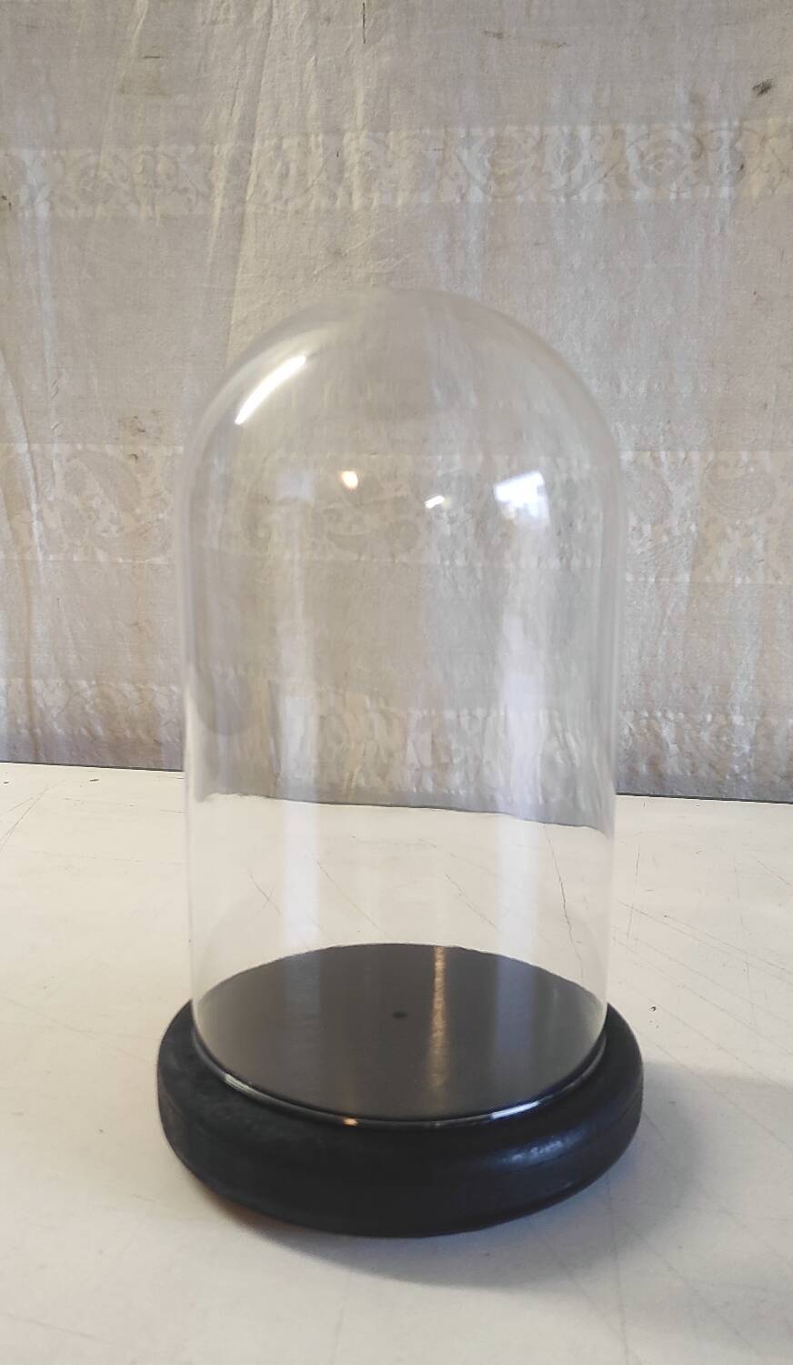 Glass globe and black wooden base - mid 20th century