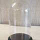 Glass globe and black wooden base - mid 20th century