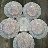 Plates nuova fontebasso