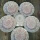 Plates nuova fontebasso