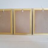 Lot de 3 planches botaniques