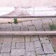 Pair of solid raw wood benches XIX