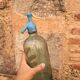 Siphon en verre bleu