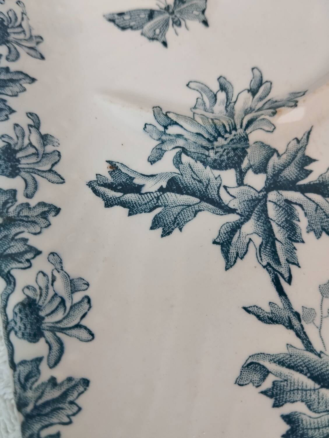 Old earthenware soap dish