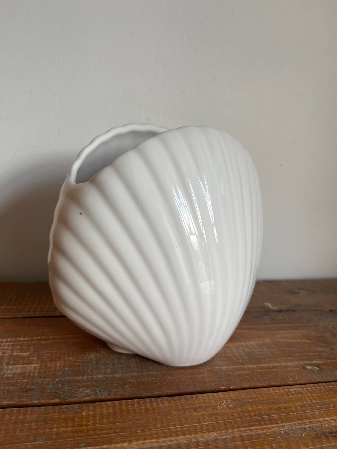 Vase coquillage