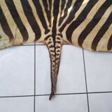 Zebra skin