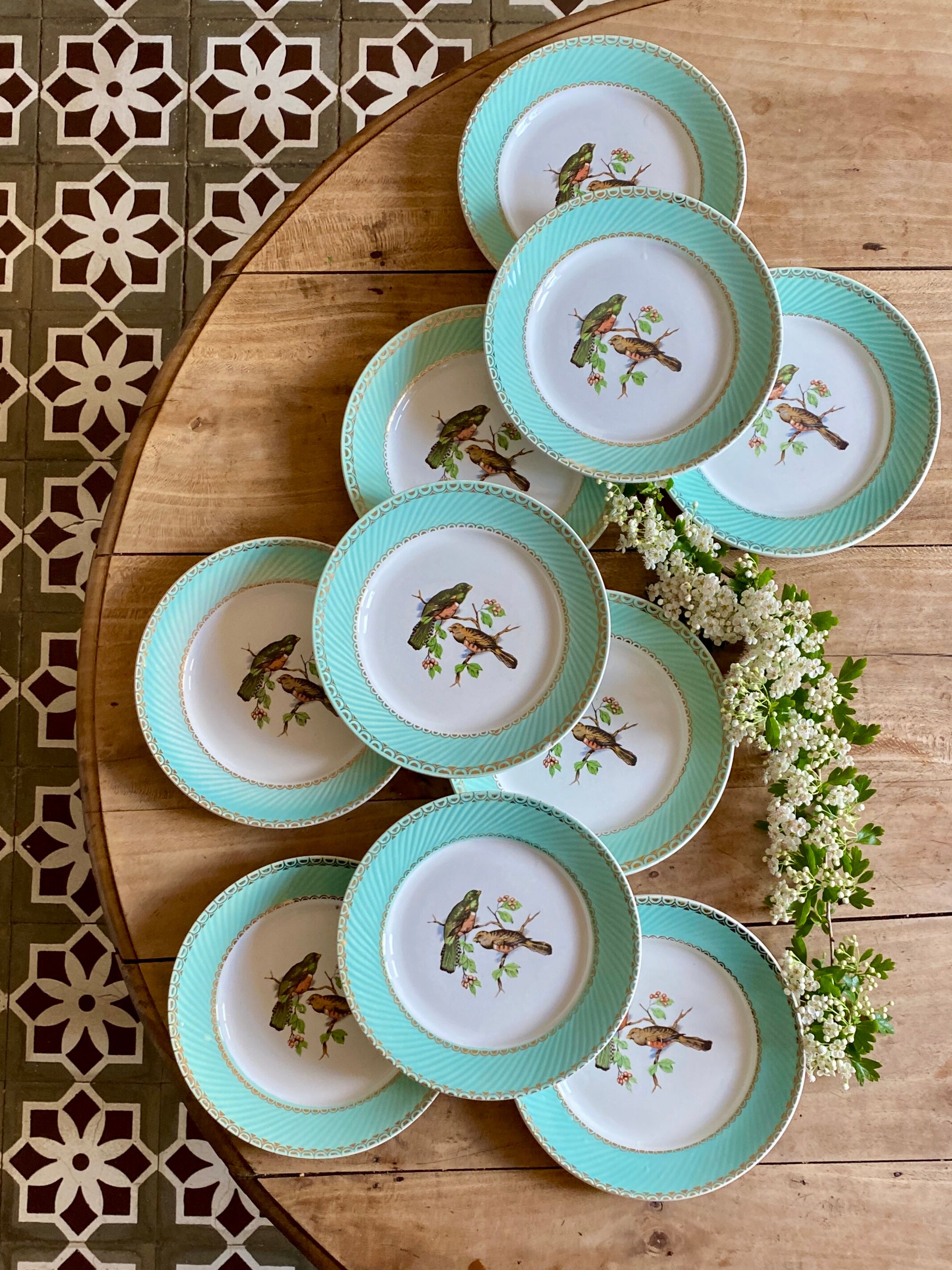 Set of 10 vintage flat plates with bird drawings