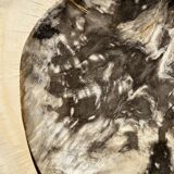 Very large empty pocket or dish in petrified wood