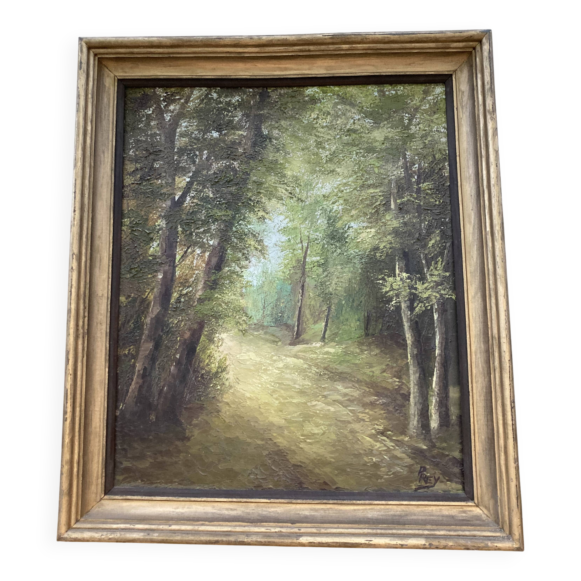 Ancient forest painting