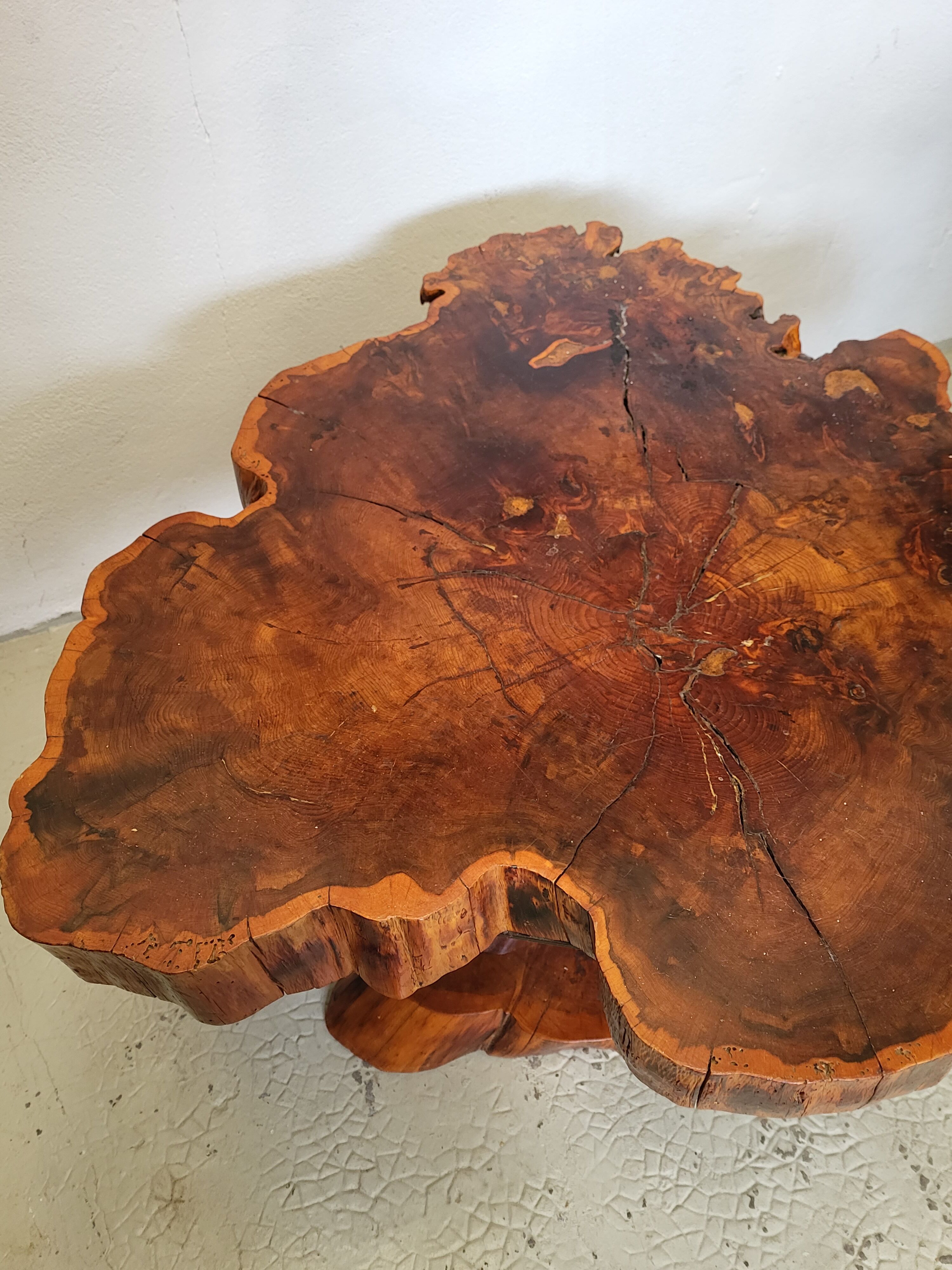 Brutalist table trunk old elm magnifying glass