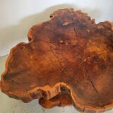 Brutalist table trunk old elm magnifying glass