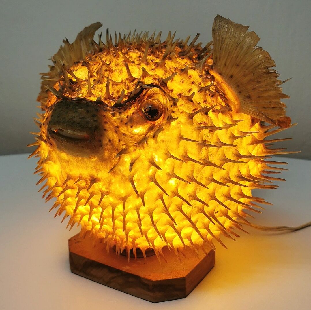 Naturalized Moonfish Lamp, 1950