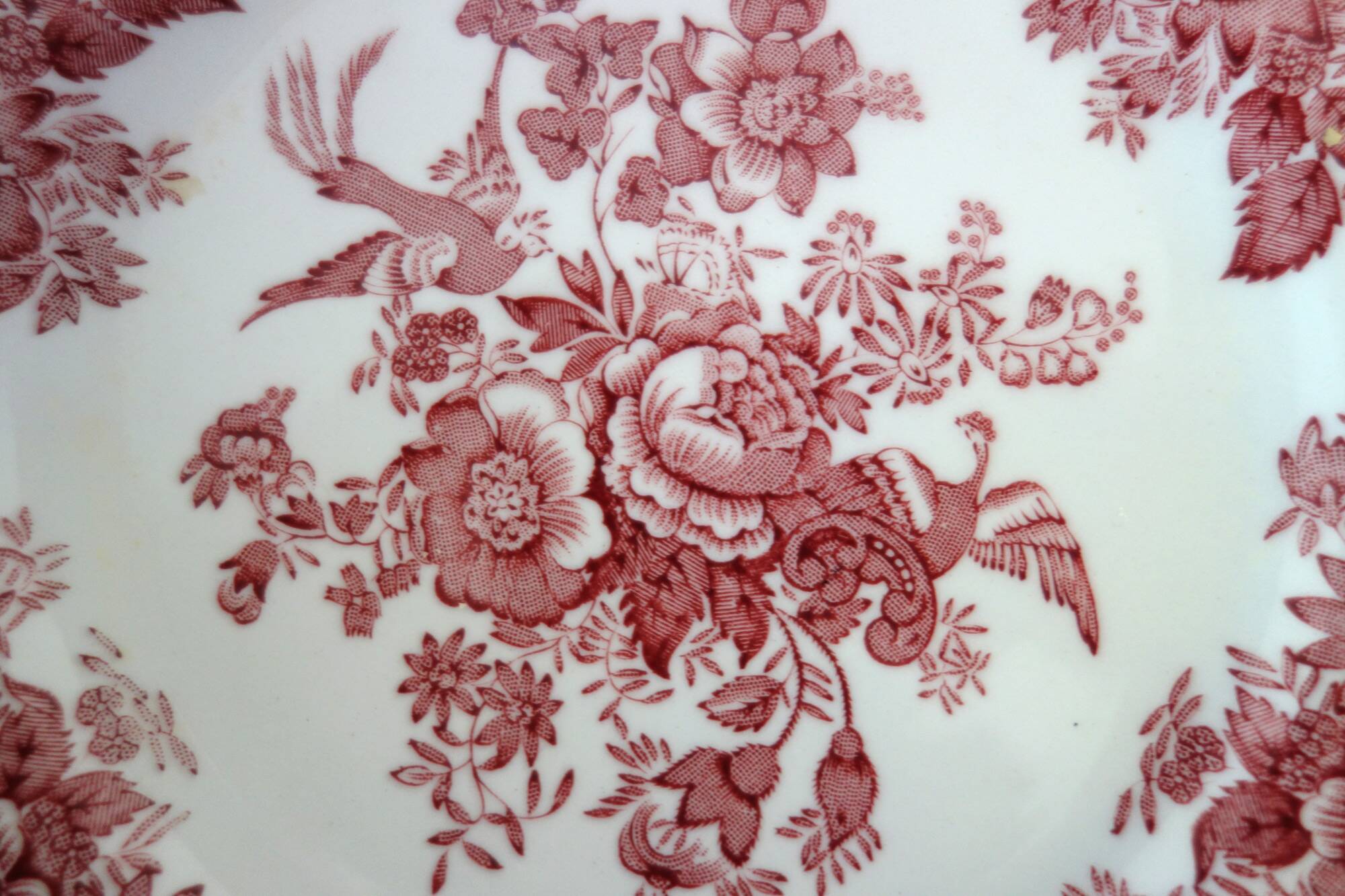 Wedgwood English dessert service iron earth pink floral
