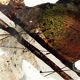 ashtray abstract painting in melted glass, around 1970
