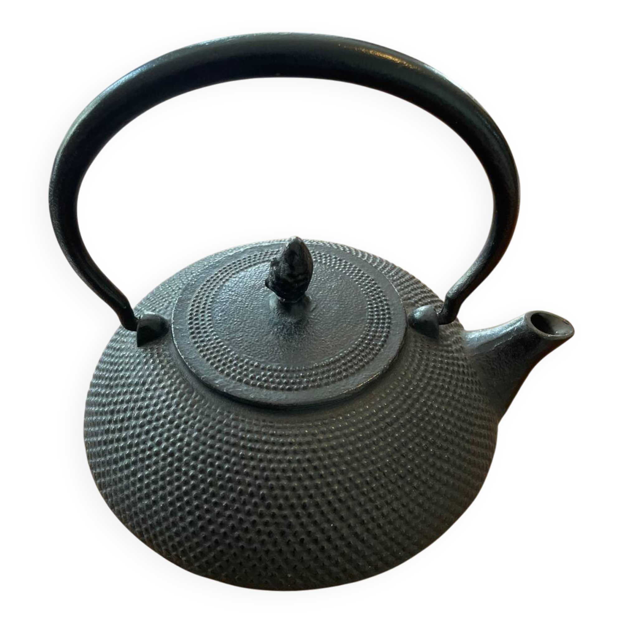 Japanese cast iron teapot