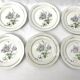 6 assiettes plates fleur rose porcelaine Limoges shabby