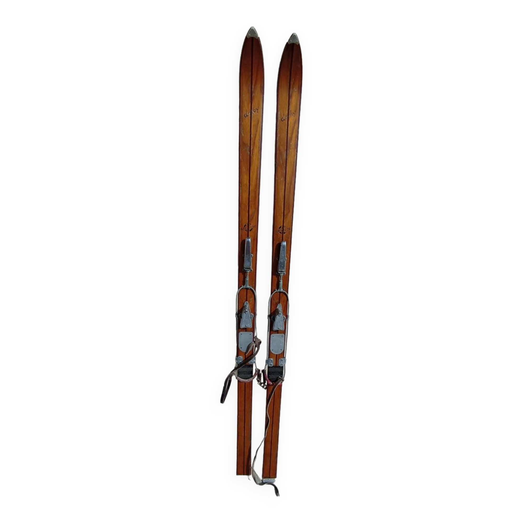 Ski Rossignol Hickory Derby