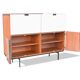 Magnificent Secretary "CU07" by Cees Braakman for Pastoe 1950