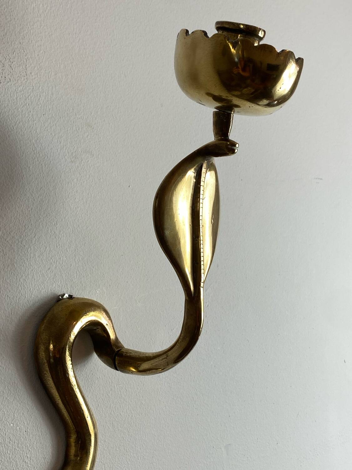 Large brass cobra wall candle holder