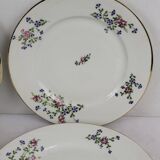 6 flat plates with cornflower decoration