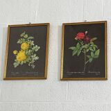 Pair of flower engravings