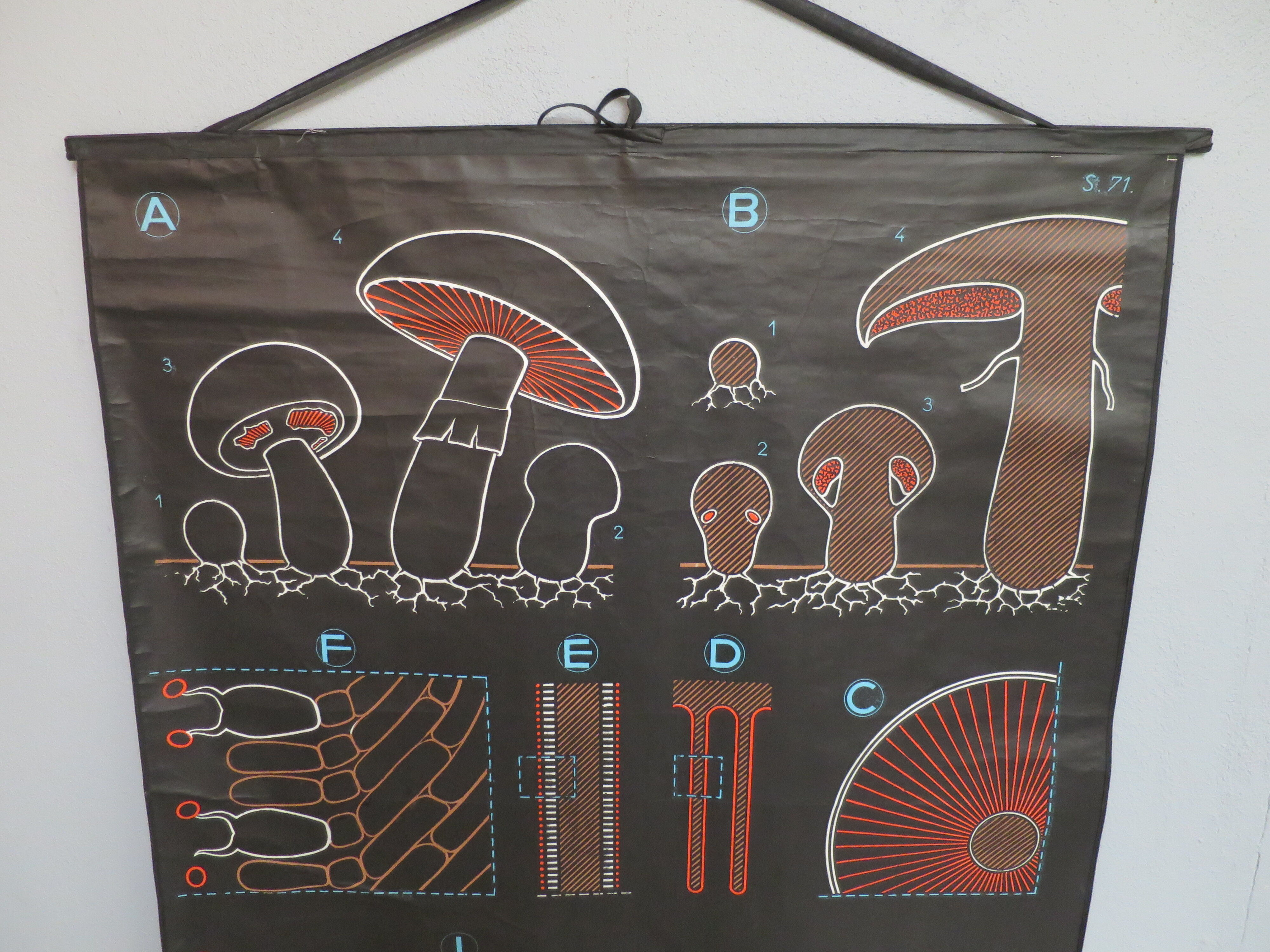 Vintage poster Dr Audoux mushroom theme