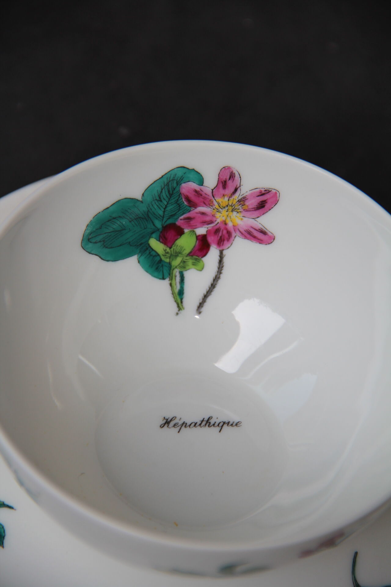 6 CUPS and undercups in NBD Limonges porcelain, hand illuminated, floral patterns