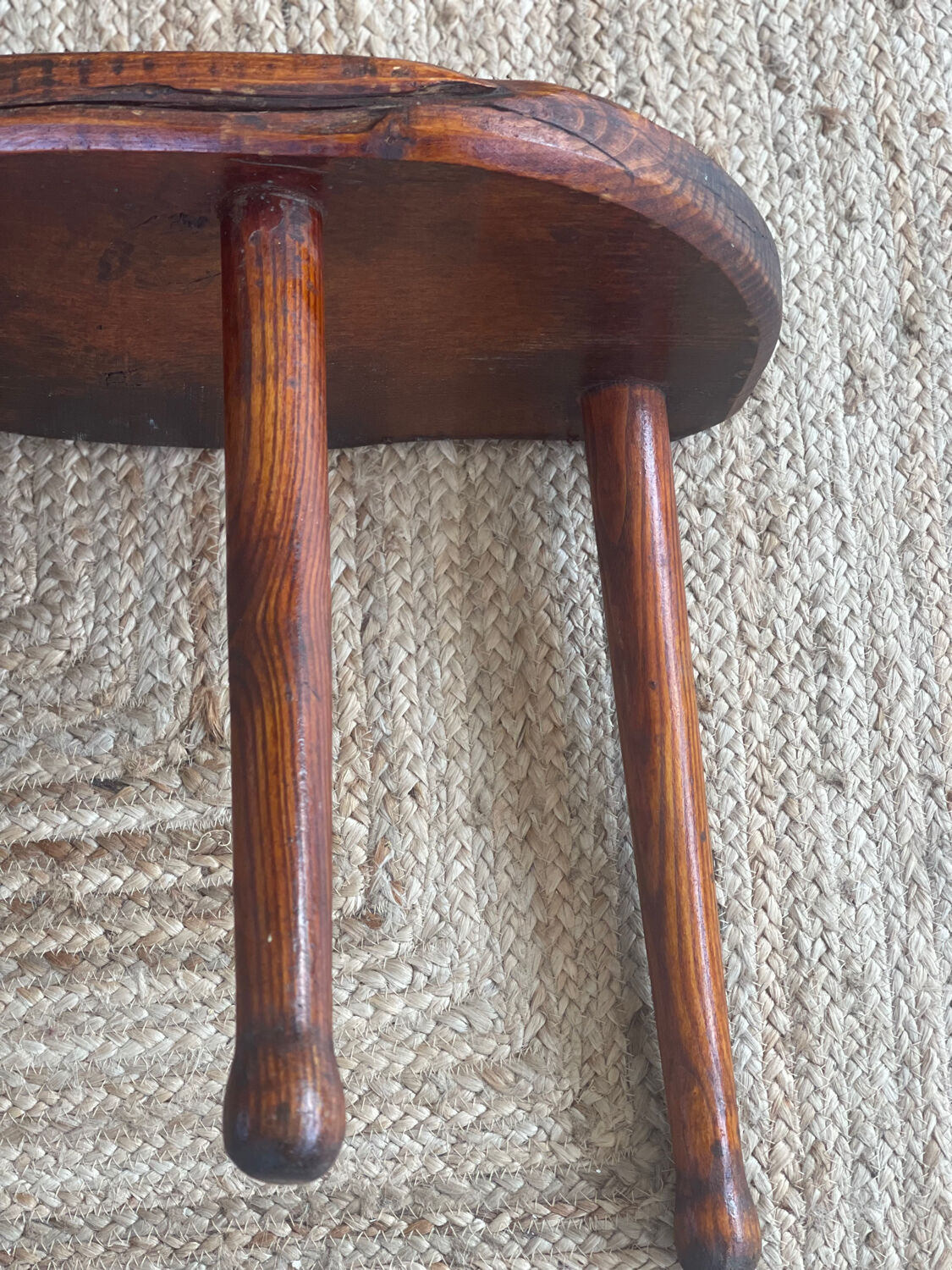 Oak cowbird stool