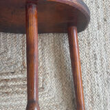 Oak cowbird stool